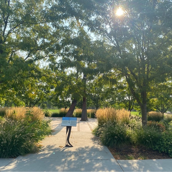 Meet your Posher, Judite - Picture 7 of 16